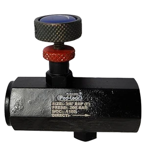 Needle Valve Manufacturer