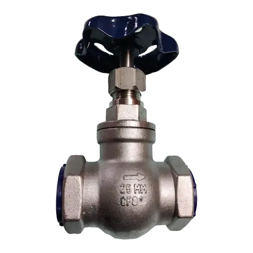 Globe Valve Manufacturer